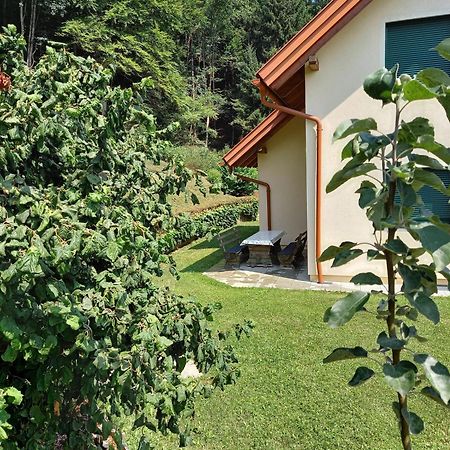 Ferienhaus Manuela Velden am Wörthersee Buitenkant foto